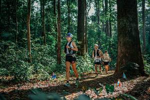 BIB: 
                            <button type="button" onclick="openModal(26130675)" class="btn btn-primary btn-sm float-right btn-popup" data-toggle="modal" data-target=".modal-high-quality">
                        <i class="fas fa-shopping-cart"></i> Add to Cart
                    </button>
                                            <button type="button" onclick="isThisMe(26130675, true)" class="btn btn-success btn-sm float-right btn-popup btn-isme hidden" data-toggle="tooltip" data-placement="bottom" title="นี่คือรูปของคุณใช่ไหม คลิกที่นี่เพื่อเอาเข้าอัลบั้ม">
                        <i class="fas fa-plus"></i> Add to album
                    </button>
                    <button type="button" onclick="isThisMe(26130675, false)" class="btn btn-warning btn-sm float-right btn-popup btn-isnotme hidden">
                        <i class="fas fa-ban"></i> Remove from album
                    </button>